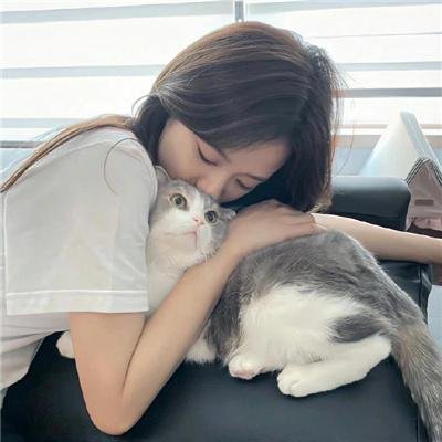 黑狐之风影
